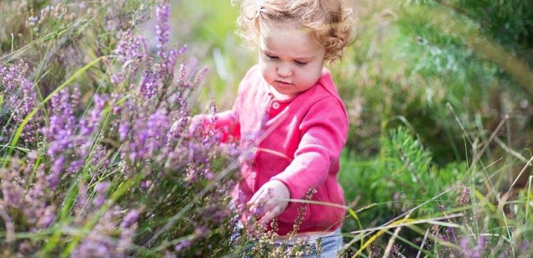 Bachblüten für Kinder