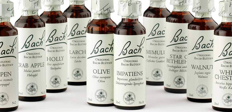 38 verschiedene Essenzen stehen dem Bachblüten-Therapeuten zur Verfügung. Bachblütentherapie