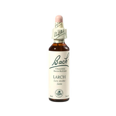 Bachblüte Larch Tropfen Nelsons 20 ml (PZN 00064595)