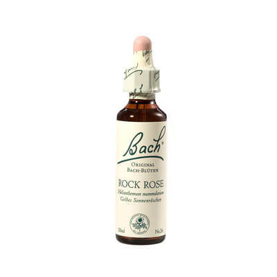 Bachblüte Rock Rose Tropfen Nelsons 20 ml (PZN 00146784)