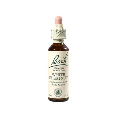 Bachblüte White Chestnut Tropfen Nelsons 20 ml (PZN 00170104)