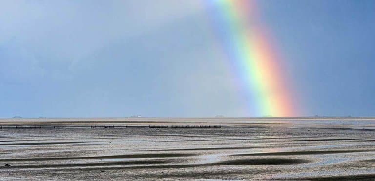 Regenbogen als Symbol für Bachblüten Gruppen