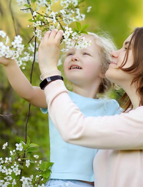 Bachblüten sorgen für Wohlbefinden