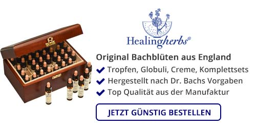 Bachblüten online bestellen