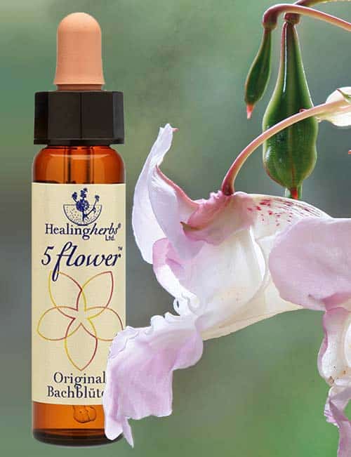 Original Bachblüten Mischung