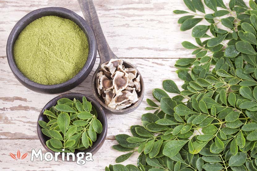 Moringa