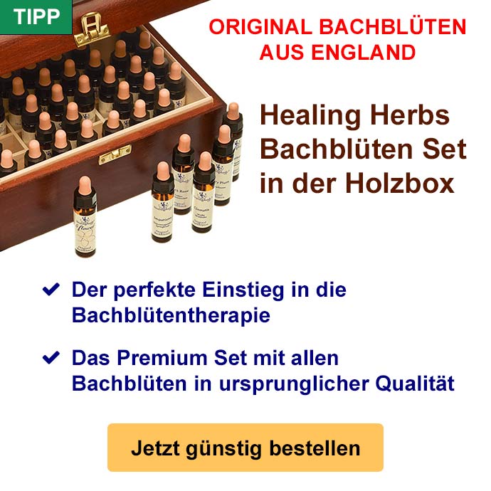 Bachblüten Set in der Holxbox kaufen