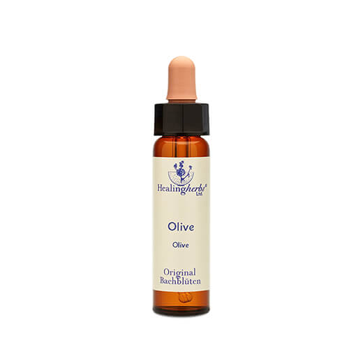 Bachblüte Olive Tropfen Healing Herbs 10 ml (PZN 10175284)