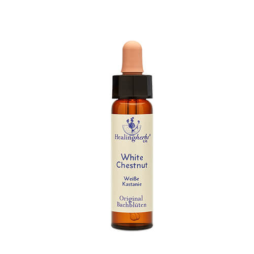 Bachblüte White Chestnut Tropfen Healing Herbs 10 ml (PZN 10175410)